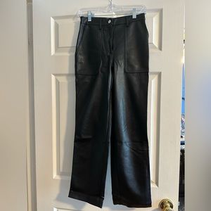 Aritzia leather pants
